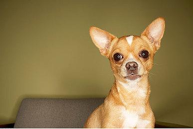 3DM速报：《使命召唤》再续“现代战争”，《魔兽》手游即将亮相